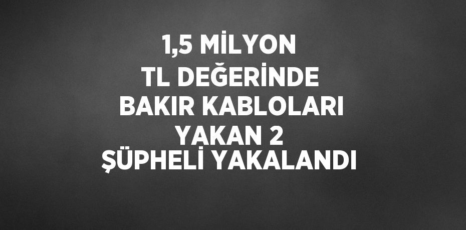 1,5 MİLYON TL DEĞERİNDE BAKIR KABLOLARI YAKAN 2 ŞÜPHELİ YAKALANDI