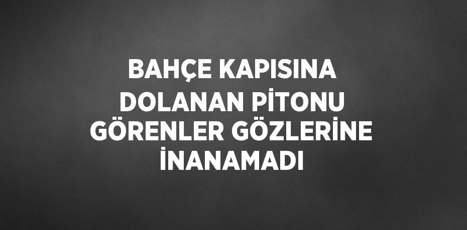 BAHÇE KAPISINA DOLANAN PİTONU GÖRENLER GÖZLERİNE İNANAMADI