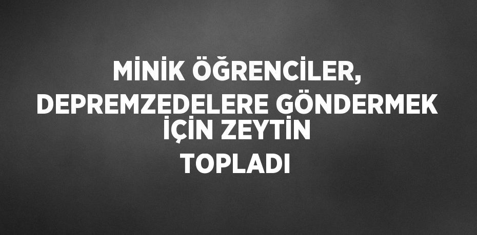 MİNİK ÖĞRENCİLER, DEPREMZEDELERE GÖNDERMEK İÇİN ZEYTİN TOPLADI