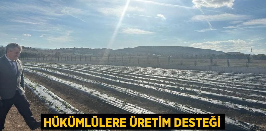 HÜKÜMLÜLERE ÜRETİM DESTEĞİ