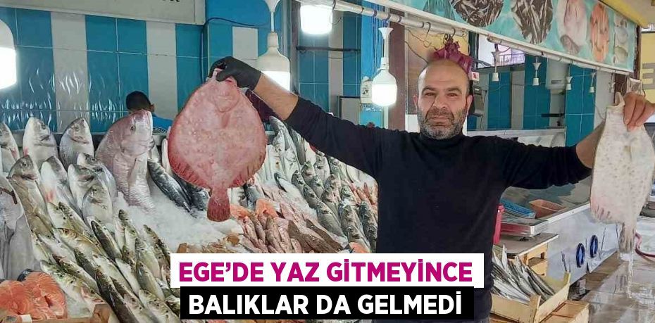 EGE’DE YAZ GİTMEYİNCE BALIKLAR DA GELMEDİ