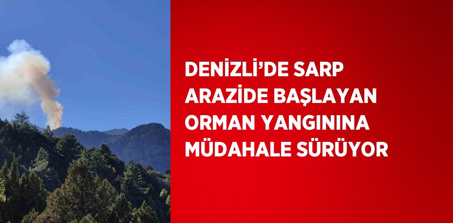 DENİZLİ’DE SARP ARAZİDE BAŞLAYAN ORMAN YANGININA MÜDAHALE SÜRÜYOR