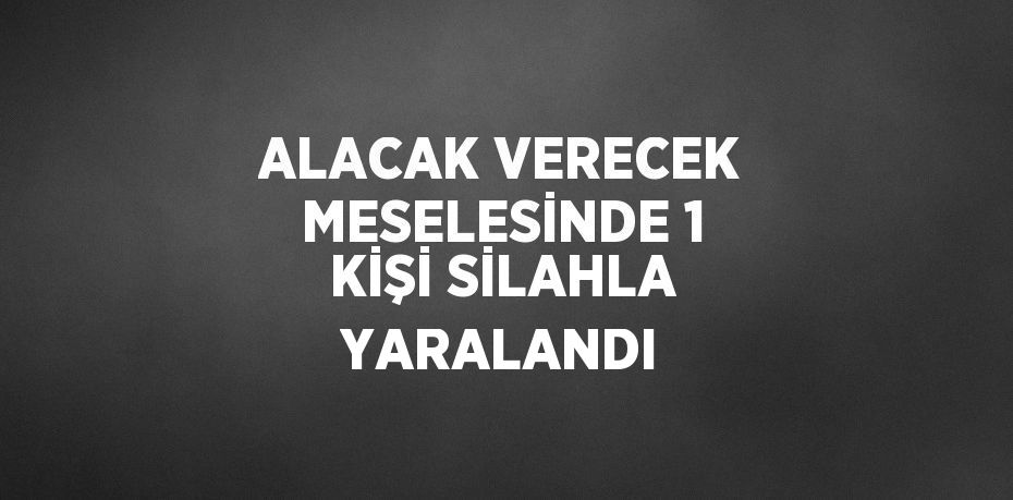 ALACAK VERECEK MESELESİNDE 1 KİŞİ SİLAHLA YARALANDI