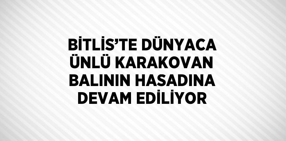 BİTLİS’TE DÜNYACA ÜNLÜ KARAKOVAN BALININ HASADINA DEVAM EDİLİYOR