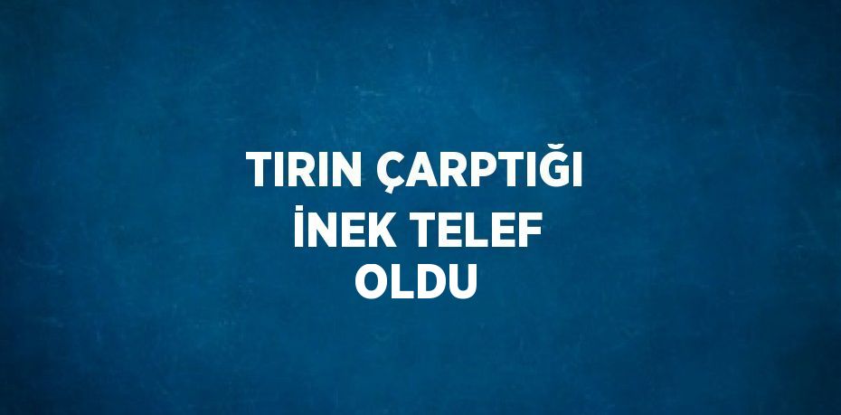 TIRIN ÇARPTIĞI İNEK TELEF OLDU