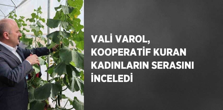 VALİ VAROL, KOOPERATİF KURAN KADINLARIN SERASINI İNCELEDİ