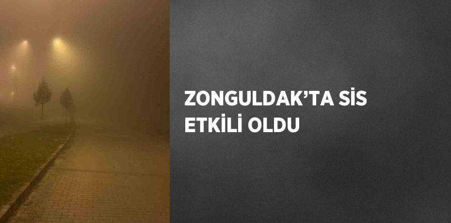 ZONGULDAK’TA SİS ETKİLİ OLDU