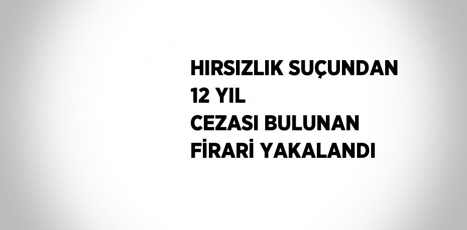 HIRSIZLIK SUÇUNDAN 12 YIL CEZASI BULUNAN FİRARİ YAKALANDI