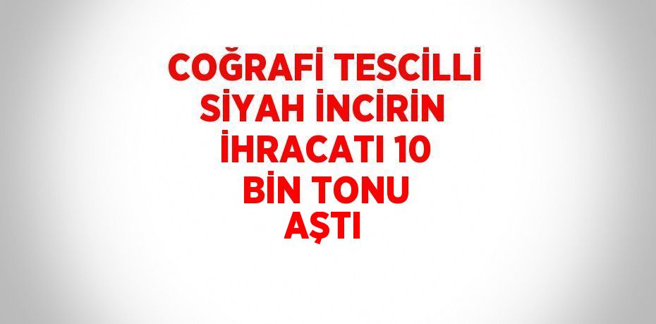 COĞRAFİ TESCİLLİ SİYAH İNCİRİN İHRACATI 10 BİN TONU AŞTI