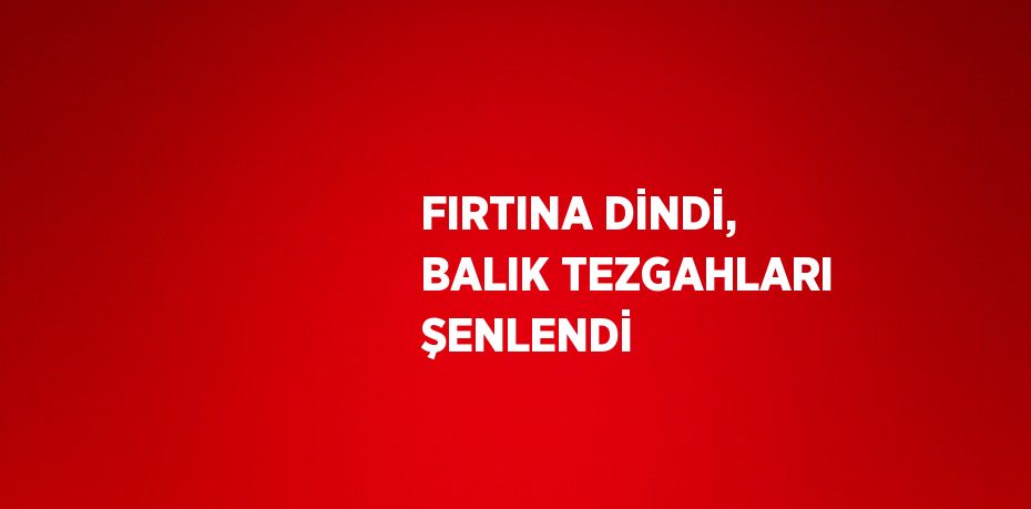 FIRTINA DİNDİ, BALIK TEZGAHLARI ŞENLENDİ