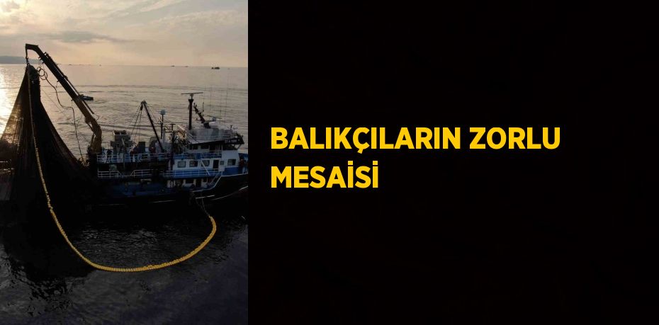 BALIKÇILARIN ZORLU MESAİSİ