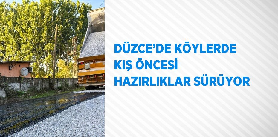 DÜZCE’DE KÖYLERDE KIŞ ÖNCESİ HAZIRLIKLAR SÜRÜYOR