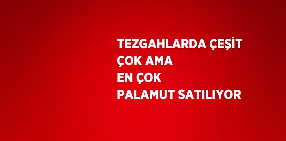 TEZGAHLARDA ÇEŞİT ÇOK AMA EN ÇOK PALAMUT SATILIYOR