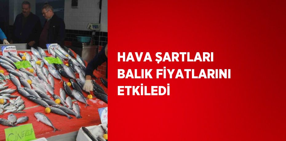 HAVA ŞARTLARI BALIK FİYATLARINI ETKİLEDİ