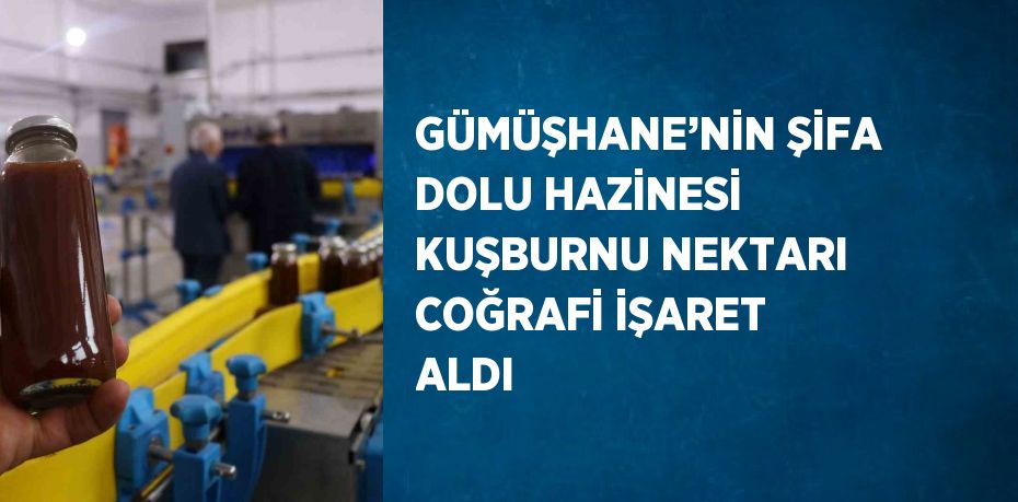 GÜMÜŞHANE’NİN ŞİFA DOLU HAZİNESİ KUŞBURNU NEKTARI COĞRAFİ İŞARET ALDI