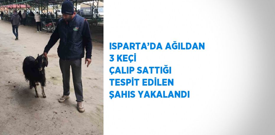 ISPARTA’DA AĞILDAN 3 KEÇİ ÇALIP SATTIĞI TESPİT EDİLEN ŞAHIS YAKALANDI