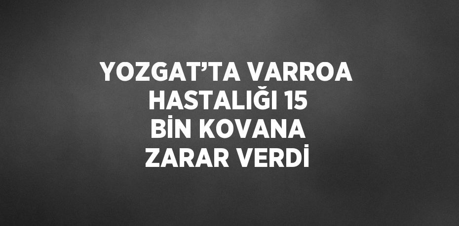 YOZGAT’TA VARROA HASTALIĞI 15 BİN KOVANA ZARAR VERDİ