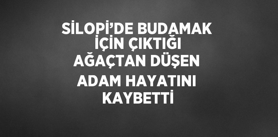 SİLOPİ’DE BUDAMAK İÇİN ÇIKTIĞI AĞAÇTAN DÜŞEN ADAM HAYATINI KAYBETTİ