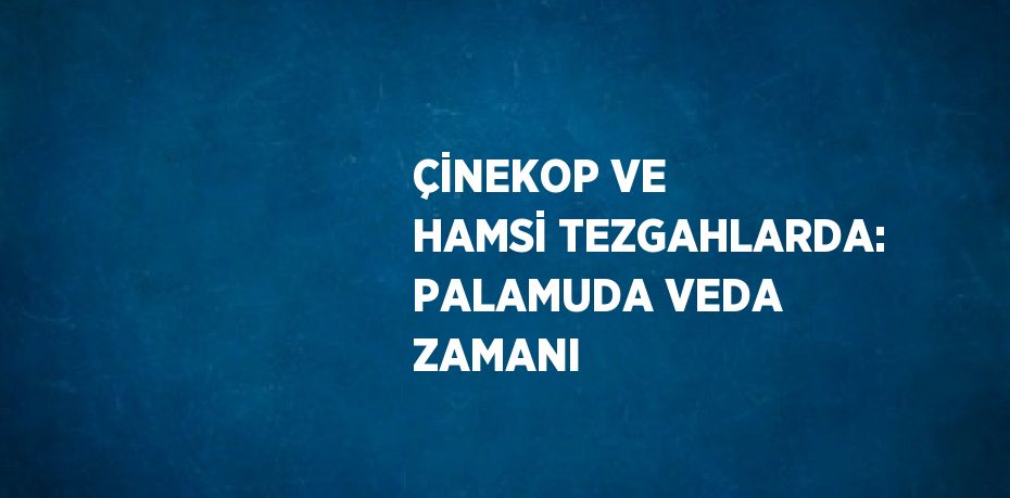 ÇİNEKOP VE HAMSİ TEZGAHLARDA: PALAMUDA VEDA ZAMANI