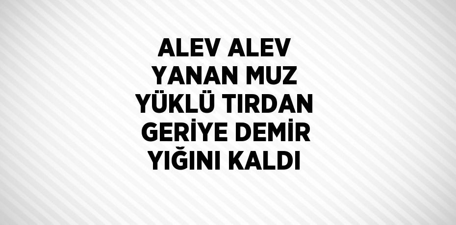 ALEV ALEV YANAN MUZ YÜKLÜ TIRDAN GERİYE DEMİR YIĞINI KALDI