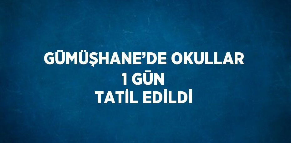 GÜMÜŞHANE’DE OKULLAR 1 GÜN TATİL EDİLDİ