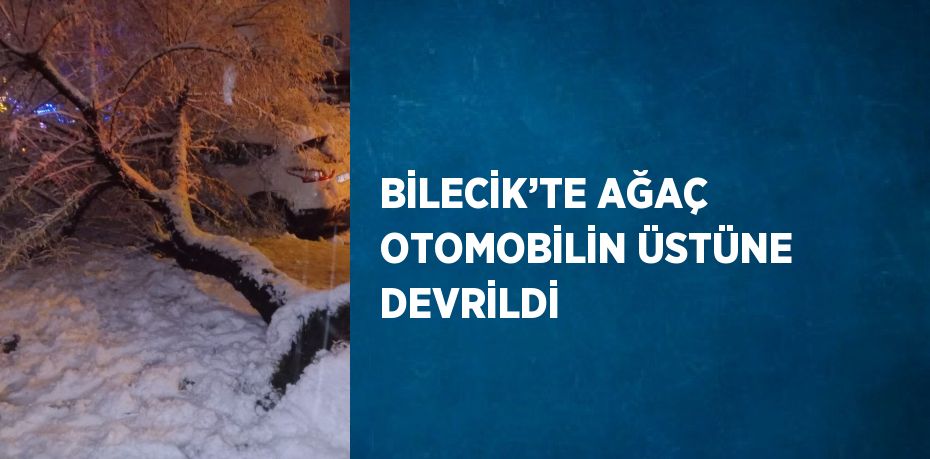 BİLECİK’TE AĞAÇ OTOMOBİLİN ÜSTÜNE DEVRİLDİ