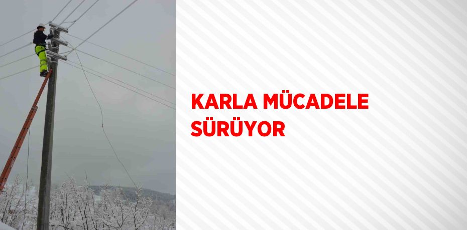 KARLA MÜCADELE SÜRÜYOR