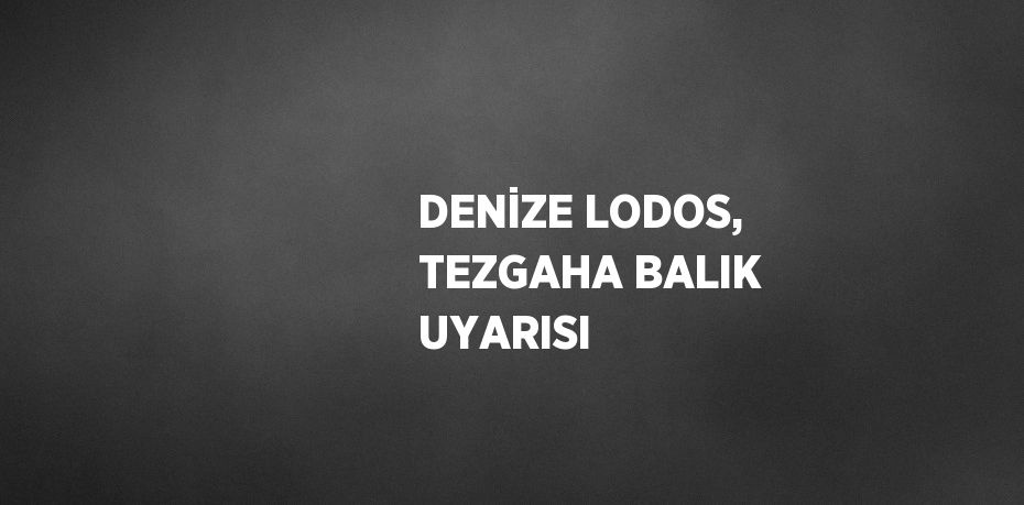 DENİZE LODOS, TEZGAHA BALIK UYARISI