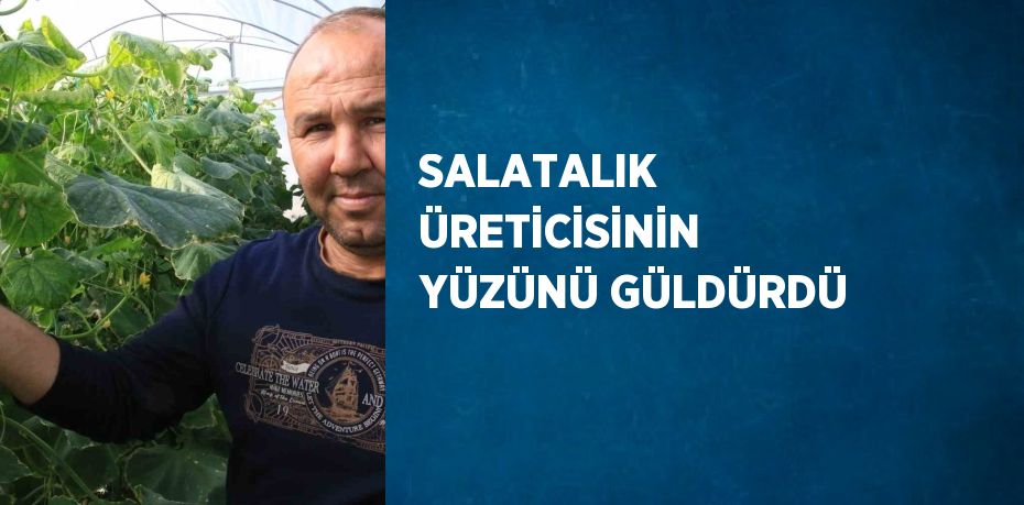 SALATALIK ÜRETİCİSİNİN YÜZÜNÜ GÜLDÜRDÜ