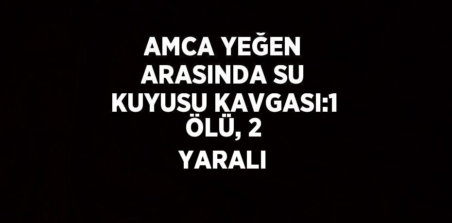 AMCA YEĞEN ARASINDA SU KUYUSU KAVGASI:1 ÖLÜ, 2 YARALI