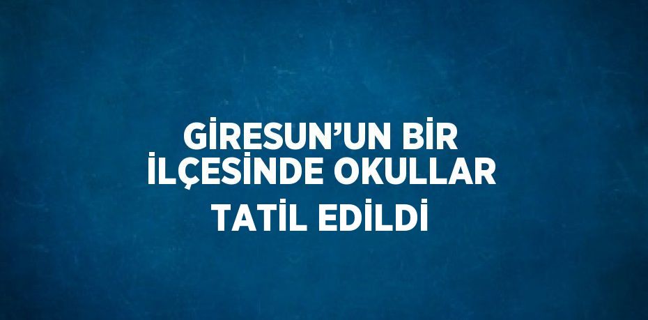 GİRESUN’UN BİR İLÇESİNDE OKULLAR TATİL EDİLDİ