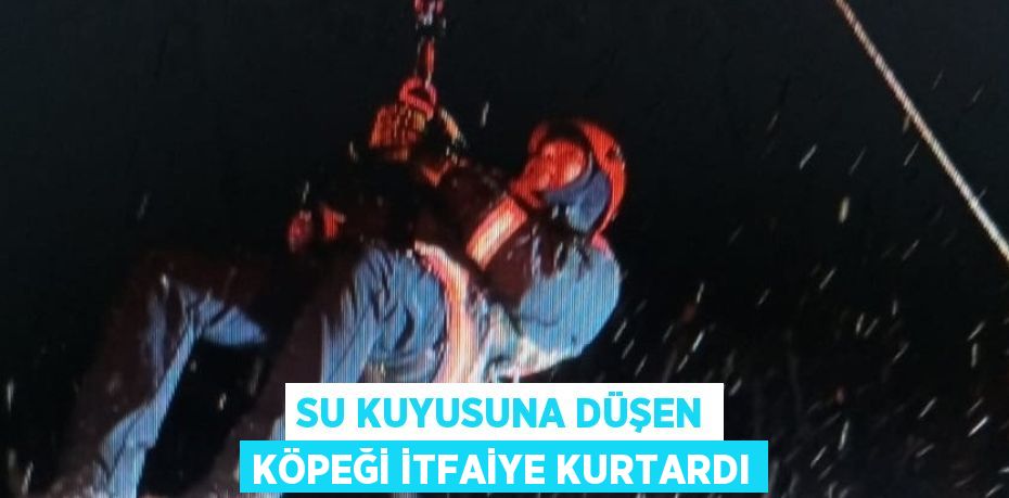 SU KUYUSUNA DÜŞEN KÖPEĞİ İTFAİYE KURTARDI