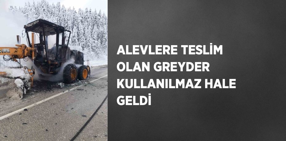 ALEVLERE TESLİM OLAN GREYDER KULLANILMAZ HALE GELDİ