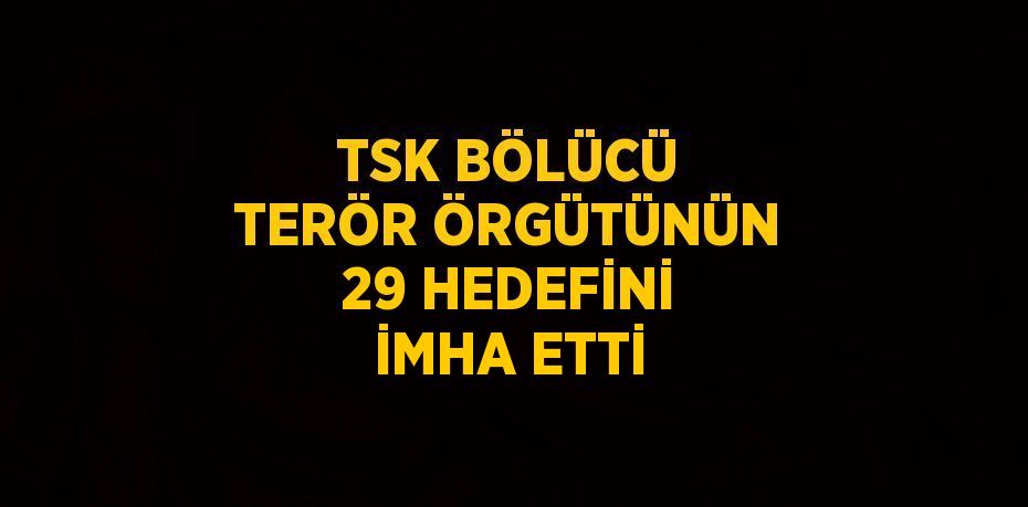 TSK BÖLÜCÜ TERÖR ÖRGÜTÜNÜN 29 HEDEFİNİ İMHA ETTİ