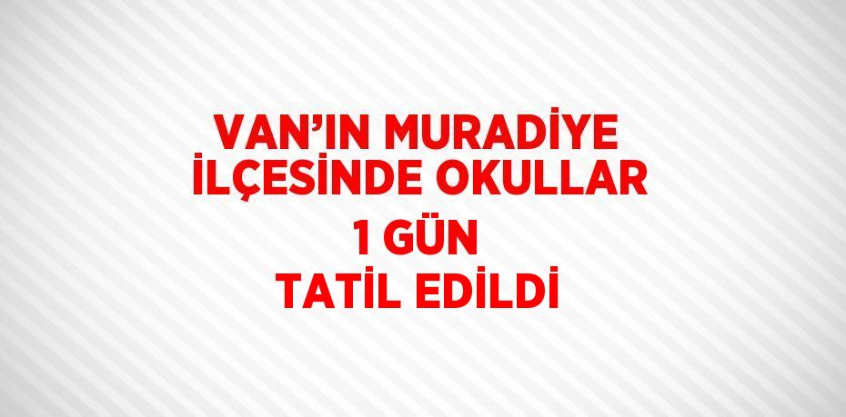 VAN’IN MURADİYE İLÇESİNDE OKULLAR 1 GÜN TATİL EDİLDİ