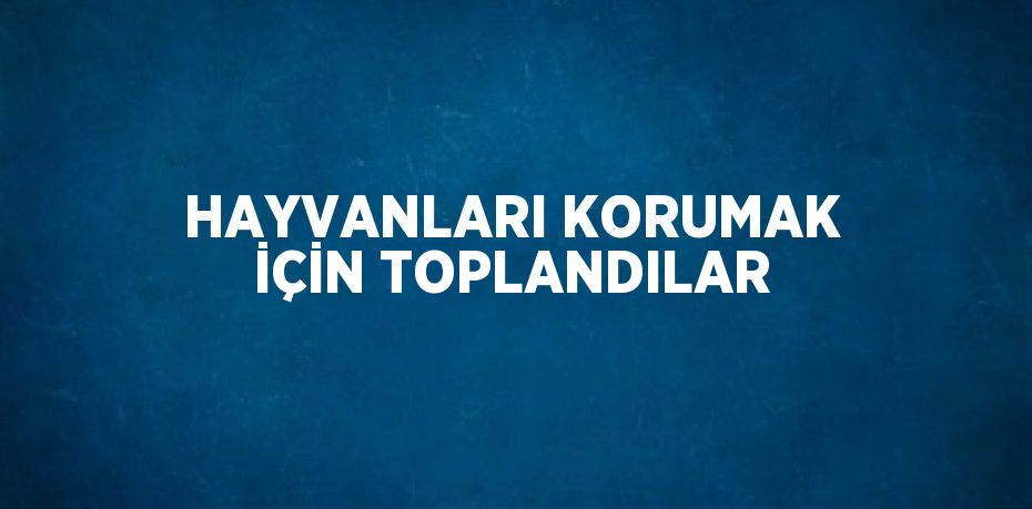 HAYVANLARI KORUMAK İÇİN TOPLANDILAR