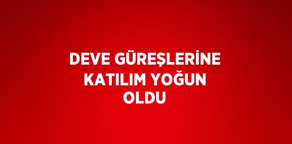 DEVE GÜREŞLERİNE KATILIM YOĞUN OLDU