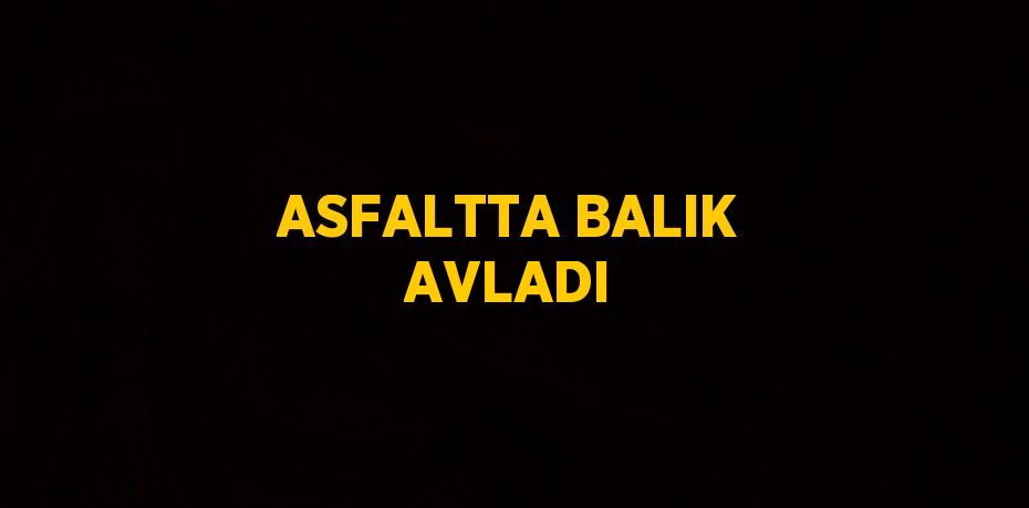 ASFALTTA BALIK AVLADI
