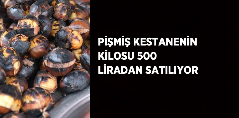 PİŞMİŞ KESTANENİN KİLOSU 500 LİRADAN SATILIYOR