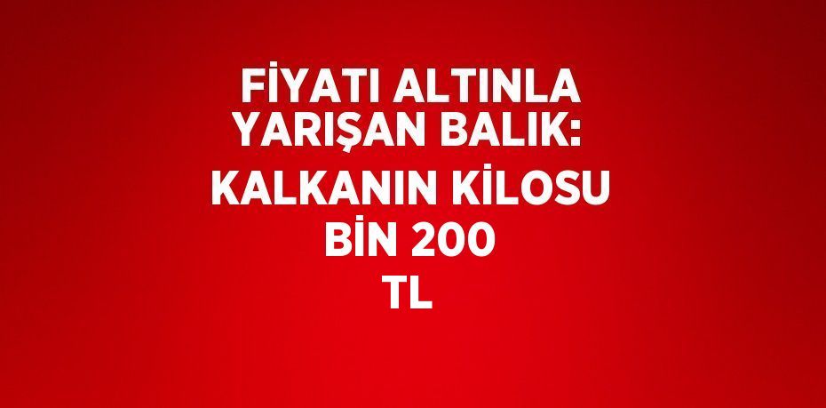 FİYATI ALTINLA YARIŞAN BALIK: KALKANIN KİLOSU BİN 200 TL