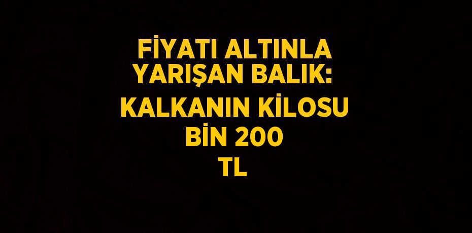 FİYATI ALTINLA YARIŞAN BALIK: KALKANIN KİLOSU BİN 200 TL