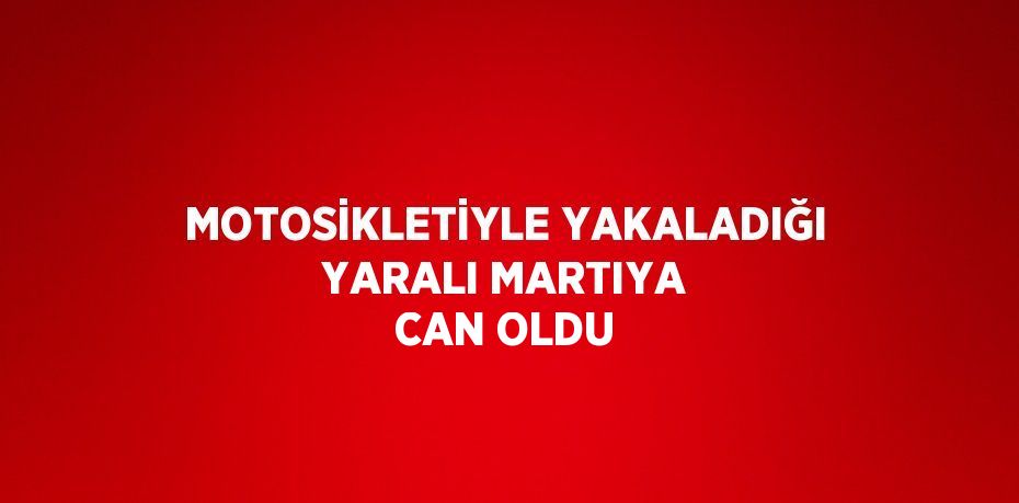 MOTOSİKLETİYLE YAKALADIĞI YARALI MARTIYA CAN OLDU