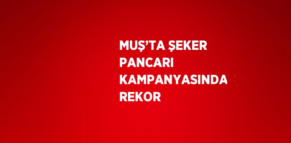 MUŞ’TA ŞEKER PANCARI KAMPANYASINDA REKOR