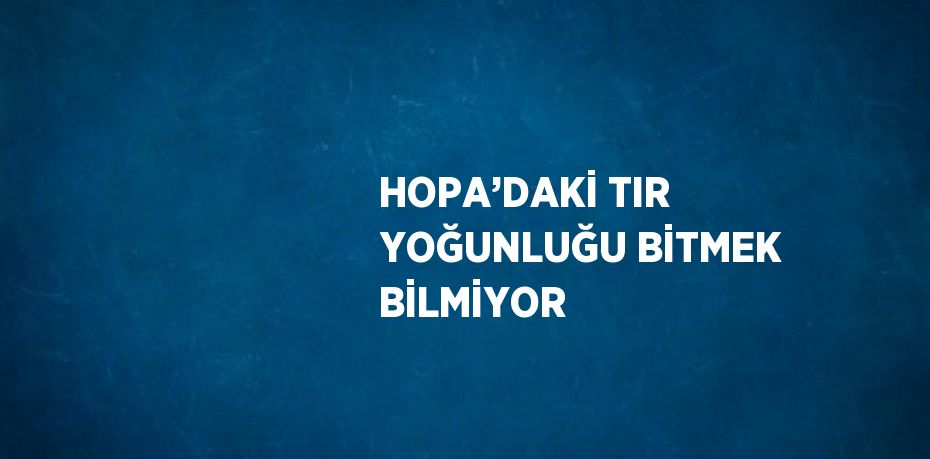 HOPA’DAKİ TIR YOĞUNLUĞU BİTMEK BİLMİYOR