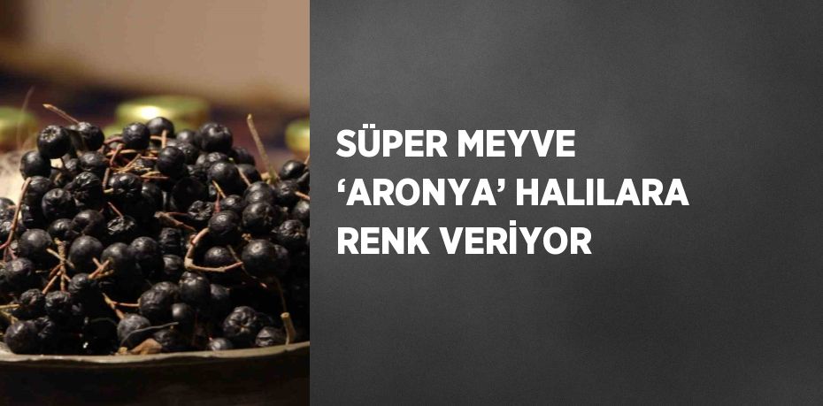 SÜPER MEYVE ‘ARONYA’ HALILARA RENK VERİYOR