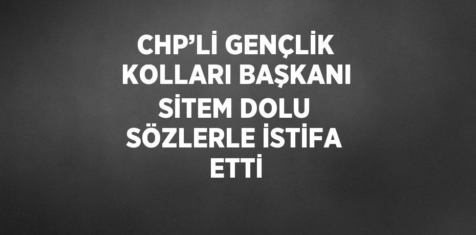 CHP’Lİ GENÇLİK KOLLARI BAŞKANI SİTEM DOLU SÖZLERLE İSTİFA ETTİ