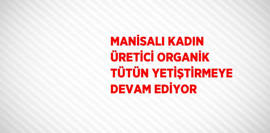 MANİSALI KADIN ÜRETİCİ ORGANİK TÜTÜN YETİŞTİRMEYE DEVAM EDİYOR