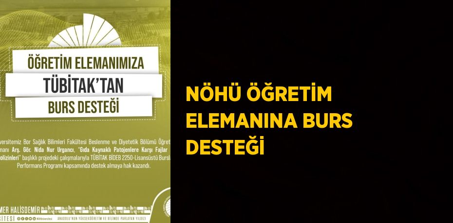 NÖHÜ ÖĞRETİM ELEMANINA BURS DESTEĞİ