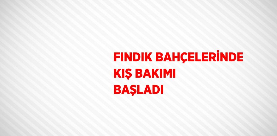 FINDIK BAHÇELERİNDE KIŞ BAKIMI BAŞLADI