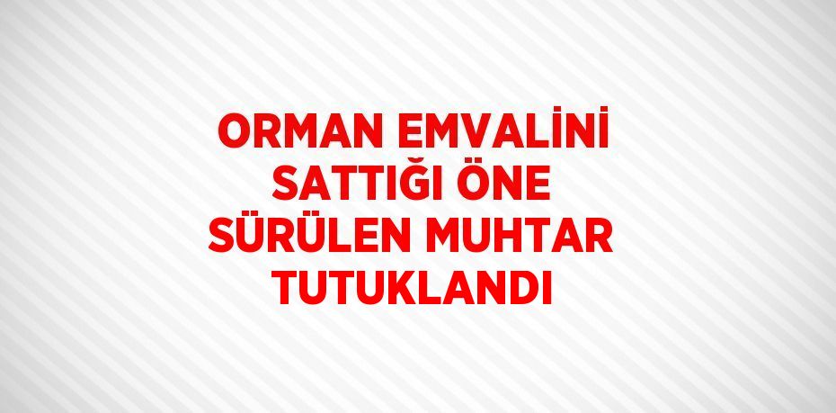 ORMAN EMVALİNİ SATTIĞI ÖNE SÜRÜLEN MUHTAR TUTUKLANDI